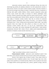 Pensijų sistema Lietuvoje referatas 15 puslapis