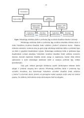 Pensijų sistema Lietuvoje referatas 19 puslapis