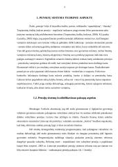 Pensijų sistema Lietuvoje referatas 4 puslapis