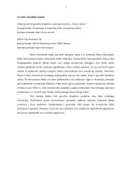 Pensijų sistema Lietuvoje referatas 7 puslapis