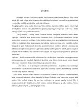 Ikimokyklinio amžiaus vaikų kūrybiškumo ugdymas 2 puslapis