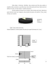 Ikimokyklinio amžiaus vaikų kūrybiškumo ugdymas 13 puslapis