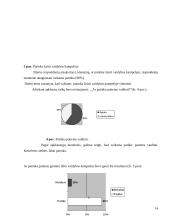 Ikimokyklinio amžiaus vaikų kūrybiškumo ugdymas 14 puslapis