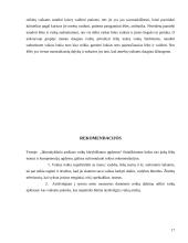 Ikimokyklinio amžiaus vaikų kūrybiškumo ugdymas 17 puslapis