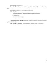 Ikimokyklinio amžiaus vaikų kūrybiškumo ugdymas 3 puslapis