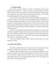 Ikimokyklinio amžiaus vaikų kūrybiškumo ugdymas 9 puslapis