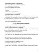 Esminiai statinio gaisrinės saugos rekalavimai 13 puslapis