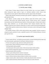 Esminiai statinio gaisrinės saugos rekalavimai 4 puslapis