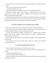 Esminiai statinio gaisrinės saugos rekalavimai 6 puslapis