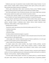 Esminiai statinio gaisrinės saugos rekalavimai 10 puslapis