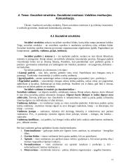 Sociologijos konspektai 14 puslapis
