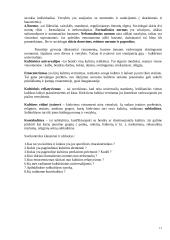 Sociologijos konspektai 10 puslapis