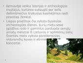 UNESCO paveldas Kernavės archeologinė vietovė 8 puslapis