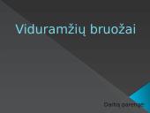 Viduramžių bruožai