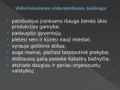 Viduramžių bruožai 7 puslapis