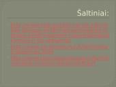 Individualios verslo įmonės steigimas 12 puslapis