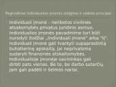 Individualios verslo įmonės steigimas 3 puslapis