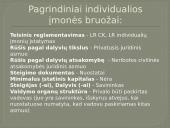 Individualios verslo įmonės steigimas 8 puslapis