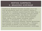 Kazys Bradūnas, jo kūryba 11 puslapis