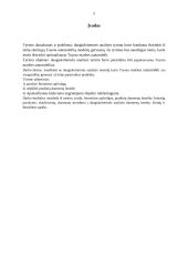 Tyrimas: optimaliausias Toyota automobilis 2 puslapis