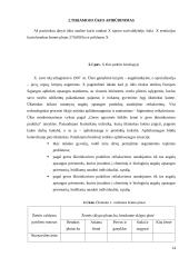 Ūkininko ūkio analizė 12 puslapis