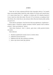 Ūkininko ūkio analizė 3 puslapis