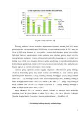 Ūkininko ūkio analizė 5 puslapis