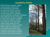 A. Baranausko gyvenimo kelio pradžia 12 puslapis