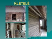 A. Baranausko gyvenimo kelio pradžia 13 puslapis