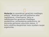 Žmogaus mutagenai 2 puslapis