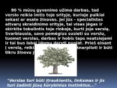 Nuo ko pradėti nuosavą verslą? 8 puslapis