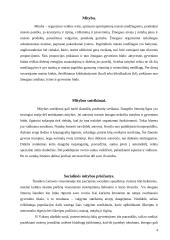 Mitybos sutrikimai. Socialinės ir psichologinės priežastys 4 puslapis