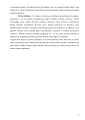 Mitybos sutrikimai. Socialinės ir psichologinės priežastys 6 puslapis