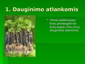 Gyvūnų dauginimasis skaidrės 2 puslapis