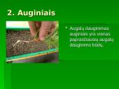 Gyvūnų dauginimasis skaidrės 3 puslapis