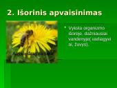 Gyvūnų dauginimasis skaidrės 9 puslapis