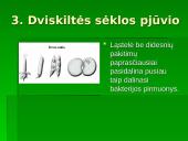 Gyvūnų dauginimasis skaidrės 10 puslapis