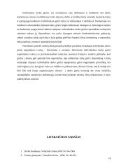 Individualus darbo ginčas 13 puslapis