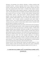 Individualus darbo ginčas 8 puslapis