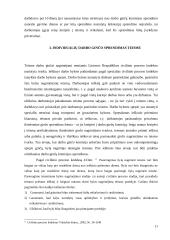 Individualus darbo ginčas 10 puslapis