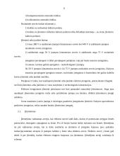 Apsauga nuo elektros įrengimų 8 puslapis