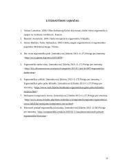 Ergonomiškos darbo priemonės 13 puslapis