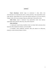 Ergonomiškos darbo priemonės 3 puslapis