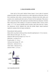 Ergonomiškos darbo priemonės 6 puslapis