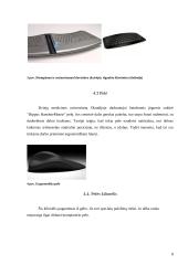 Ergonomiškos darbo priemonės 8 puslapis