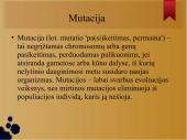 Mutacijos skaidrės 2 puslapis