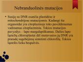 Mutacijos skaidrės 13 puslapis
