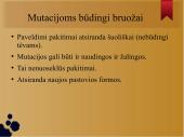 Mutacijos skaidrės 14 puslapis