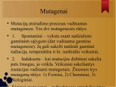 Mutacijos skaidrės 16 puslapis