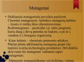 Mutacijos skaidrės 17 puslapis